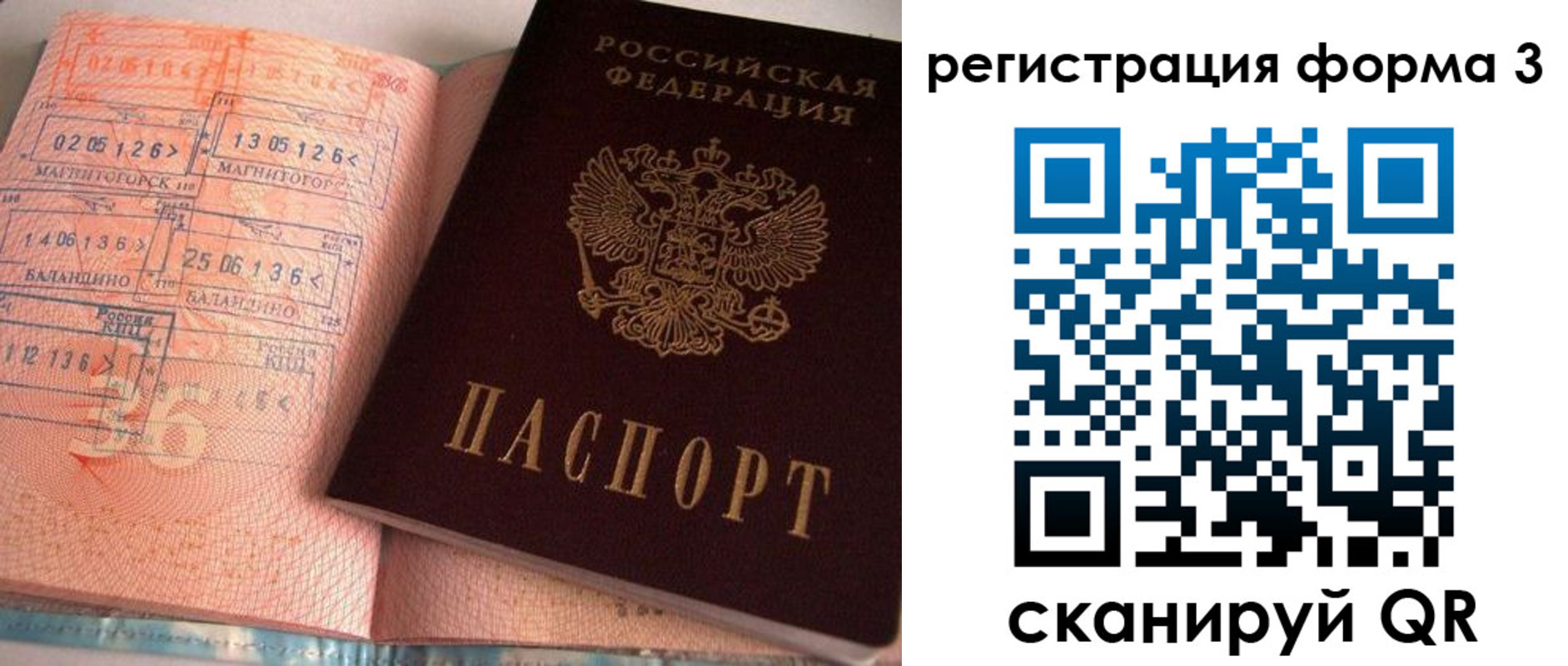временная регистрация поиск в Елизово